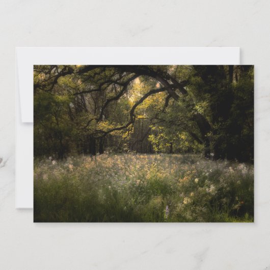 Invitation Rustique Floral Enchanted Forest Tree Sweet 16 Par (Dos)