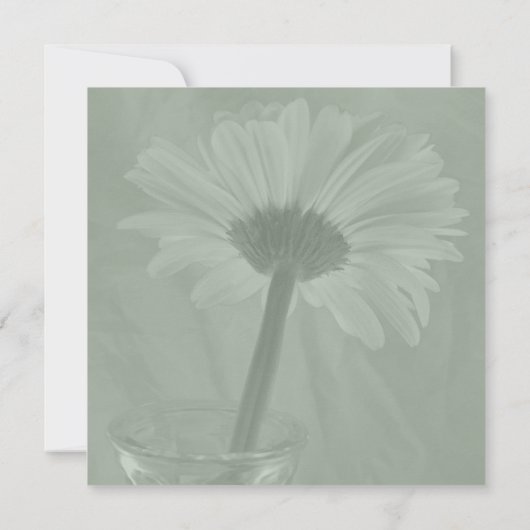 Invitation Sage Green Gerber Daisy (Dos)
