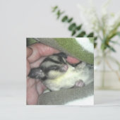 Invitation Saigneuse à sucre dormant dans la couverture (Debout devant)