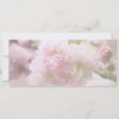 Invitation Sakura • Annonce de sauvegarde de la date (Dos)