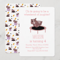 Salle De Fitness Pour Cochons De Guinée