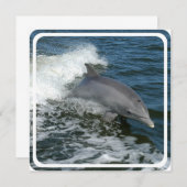 Invitation sauvage de dauphin (Devant / Derrière)