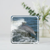 Invitation sauvage de dauphin (Debout devant)