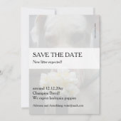 Invitation Sauvez la date : nouvelle portée attendue (Dos)