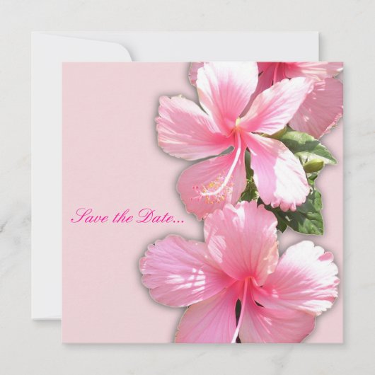 Invitation "Save the Date" Hibiscus rose (Devant)