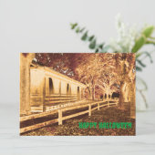 Invitation Scandale Black and Orange Cabine Woods Halloween P (Debout devant)