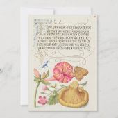 Invitation Scène de jardin avec fleurs, papillon et champigno (Devant)