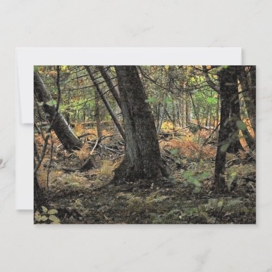 Invitation Scène forestière d'automne (Dos)