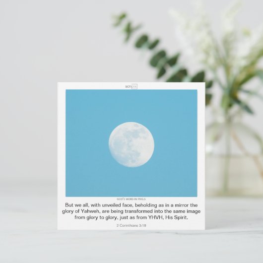 INVITATION SCRIPIX TEMPLATE (Debout devant)