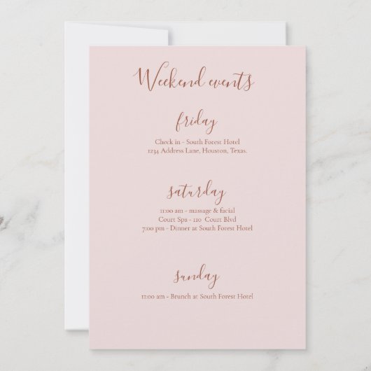 Invitation Script Calligraphie Terracotta Bachelorette Party (Dos)