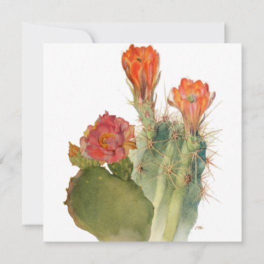 Invitation Script d'aquarelle florale Fiesta Cactus (Dos)
