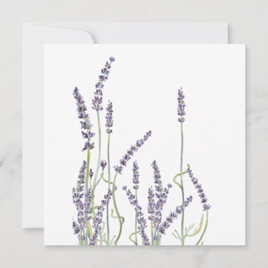 Invitation Script de typographie de la couronne de fleurs de  (Dos)