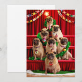 Invitation Sept Pug's en pose (Devant / Derrière)