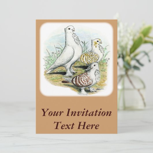 Invitation Seraphim Pigeons (Debout devant)