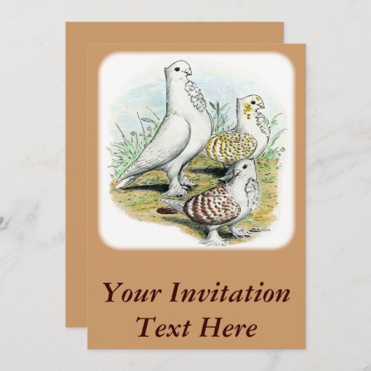 Invitation Seraphim Pigeons (Devant / Derrière)