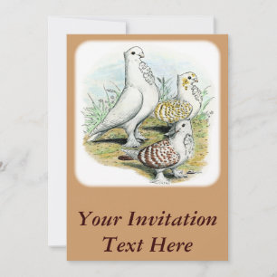 Invitation Seraphim Pigeons