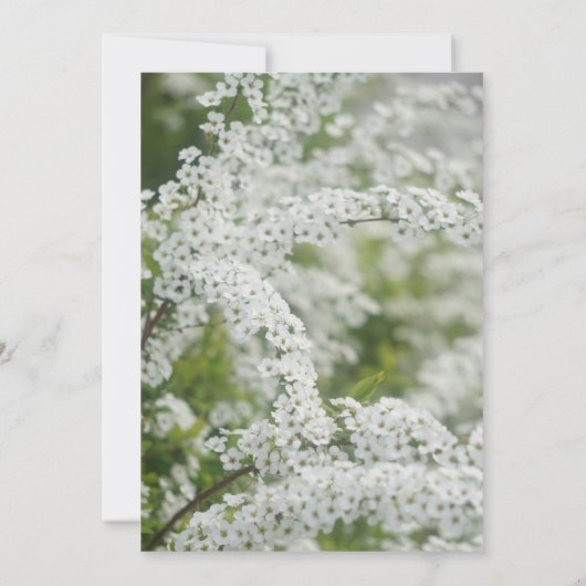 Invitation Service commémoratif célébrant le souffle d’un béb (Dos)