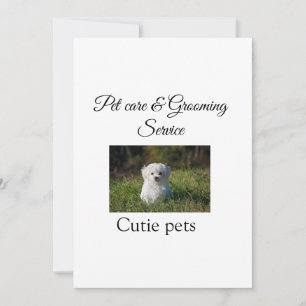Invitation service de toilettage pour animaux de compagnie aj