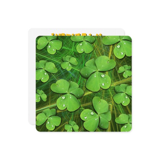 Invitation Shamrock vert St Patrick iPhone 5 Coque-Mate (Devant/Arrière en situation)
