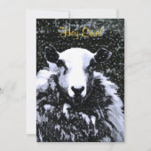 INVITATION SHEEP (Devant)