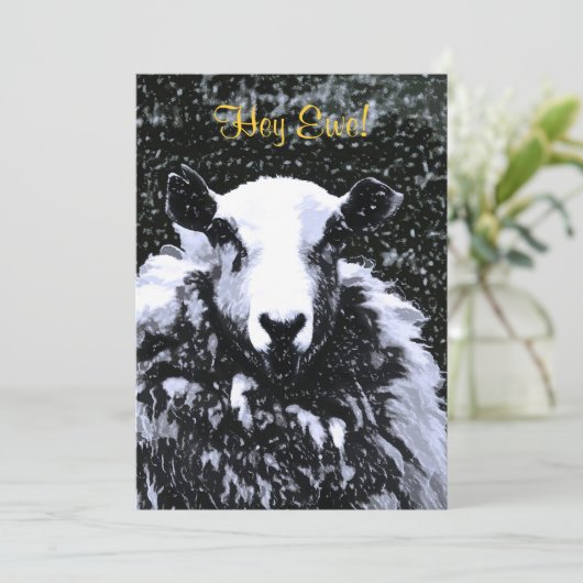 INVITATION SHEEP (Debout devant)