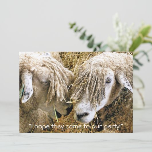 INVITATION SHEEP (Debout devant)