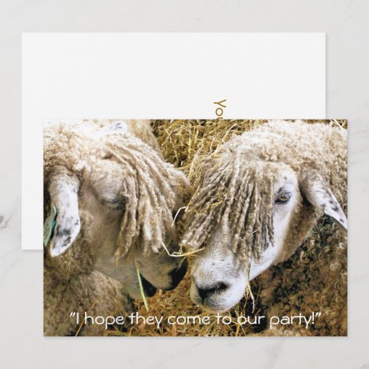 INVITATION SHEEP (Devant / Derrière)