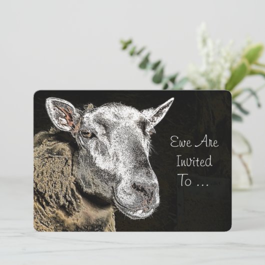 INVITATION SHEEP (Debout devant)