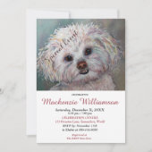 INVITATION SHIH TZU BLANC DOUX SOUHAITE UN JOLI ANNIVERSAIRE (Devant)