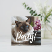 Invitation Siamese Chat dans l'invitation Spa PARTY (Debout devant)