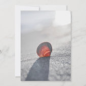 Invitation Simple Beach Seashell Fête De La Vie (Dos)