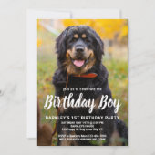Invitation Simple Chien Chien Chien Chien Anniversaire Fête P (Devant)