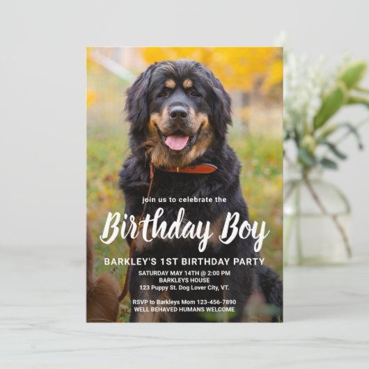 Invitation Simple Chien Chien Chien Chien Anniversaire Fête P (Debout devant)