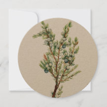 Simple Juniper Vintage de montagne