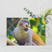 Invitation Singe écureuil à Manuel Antonio NP - Costa Rica (Debout devant)