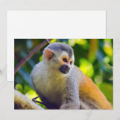 Invitation Singe écureuil à Manuel Antonio NP - Costa Rica (Devant / Derrière)