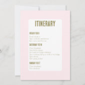 Invitation Ski vous plus tard Winter Bachelorette Party (Dos)