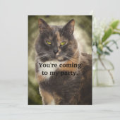 Invitation Smug Kitty - Faites Ce Que Vous Voulez? (Debout devant)