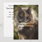 Invitation Smug Kitty - Faites Ce Que Vous Voulez? (Devant / Derrière)