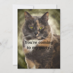 Invitation Smug Kitty - Faites Ce Que Vous Voulez?