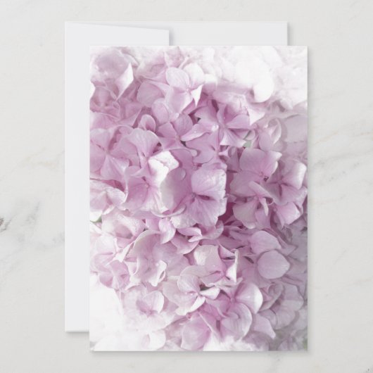 Invitation Soft Rose Hydrangea Fleurs Quinceanera Parti (Dos)
