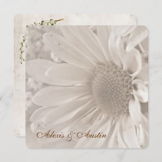 Invitation Soft Sepia Mariage Daisy (Devant / Derrière)