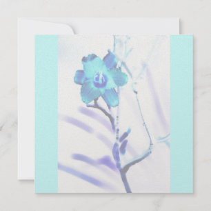 Invitation Soft Subtil
