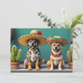 Invitation sombreros chiens (Debout devant)