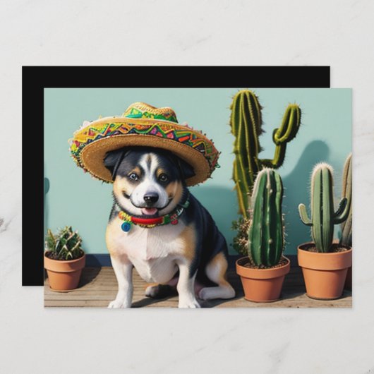 Invitation sombreros perros (Devant / Derrière)