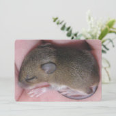 Invitation Souris De Bébé Minuscule Aux Oreilles Douces Couch (Debout devant)