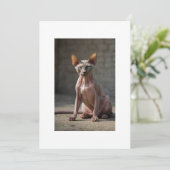 Invitation sphinx cat (Debout devant)