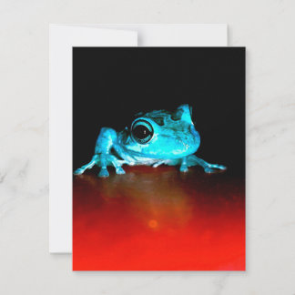 Invitation Spidey Grenouille Grenouille Verte Amoureux des An