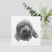 Invitation Spinone Supper Invite (Debout devant)