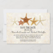 Invitation Starfish Nautilus Scallop Sea Shell Motif moderne (Devant)